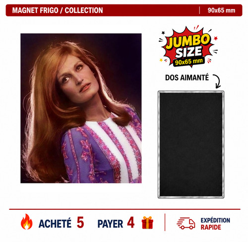Magnet frigo dalida - frigo,