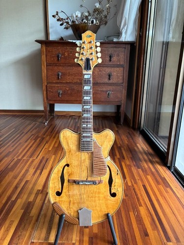 Mandoline plate acoustique