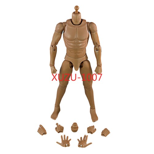 Scale muscular male action - 1:6,