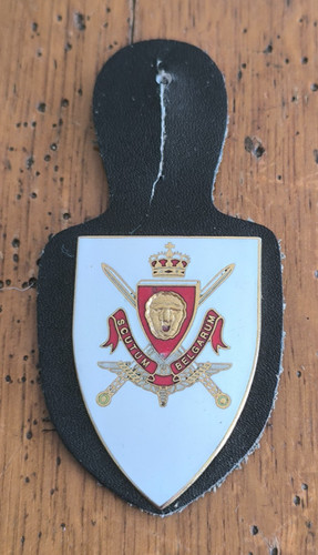 Insigne corps d - 1°,