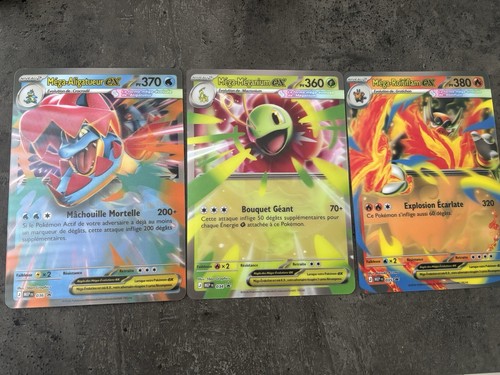 Lot cartes jumbo - cartes,