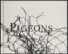 Stephen GILL. Pigeons. Archive