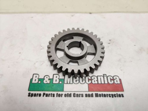 Roue dentée vitesse z31 moto - dentée,