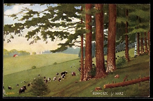 Carte postale artiste - postale, d'artiste