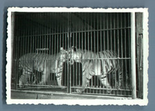 Galdin, France, Paris, Cirque