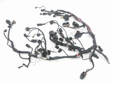 FAISCEAU ELECTRIQUE TRIUMPH