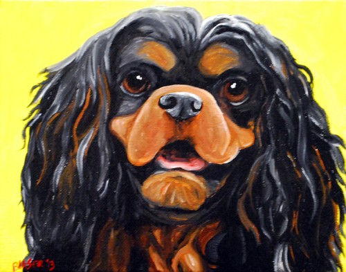 Cavalier king charles - cavalier, spainel