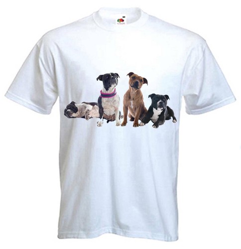 Shirt staffordshire bull - staffordshire,