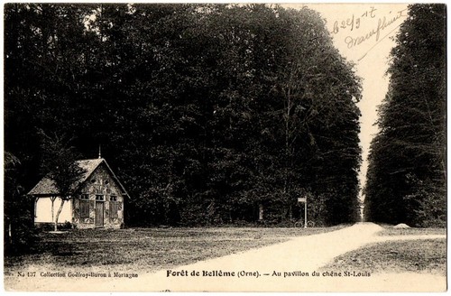 Fr61 belleme foret pavillon - foret,