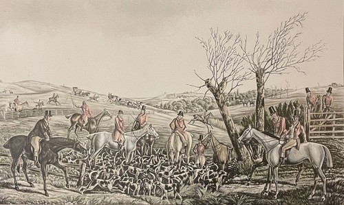 Vénerie chasse courre - vénerie, à
