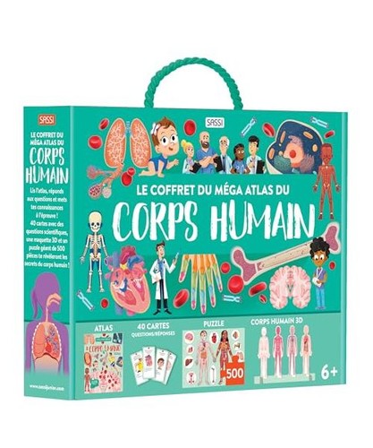 Corps humain mega - le, humain.