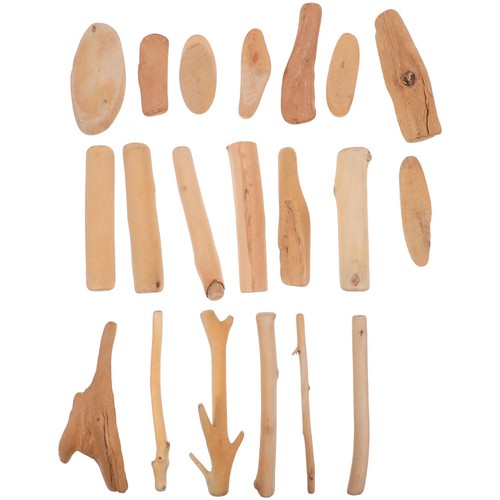 Pcs branche bois flotté - branche,