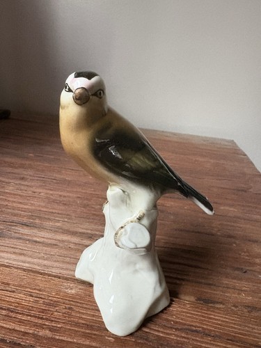 Oiseau porcelaine saxe a - porcelaine,