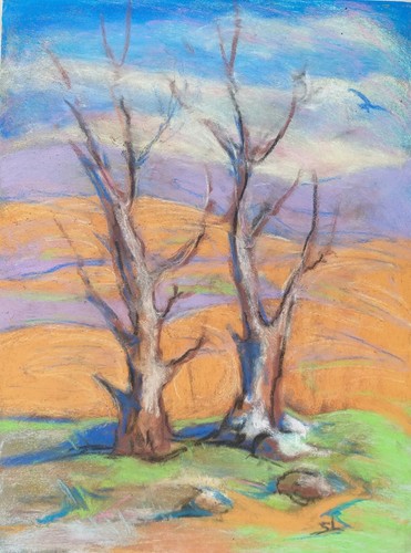 Landscape mountain winter