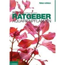 Dennerle aquarienpflanzen - aquarienpflanzen,
