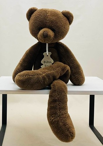 Histoire ours peluche - ours,