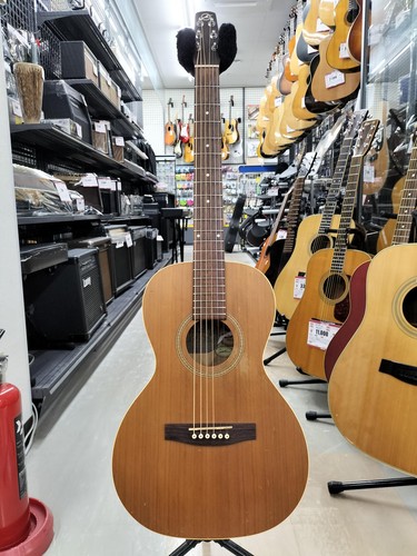 Seagull acoustic guitar - seagull, s