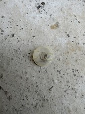 Bague Plastique Allumage Vis Platiné Tronçonneuse Stihl 08 S