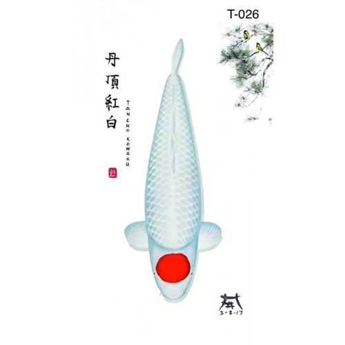 Koi art print t026 - koi,