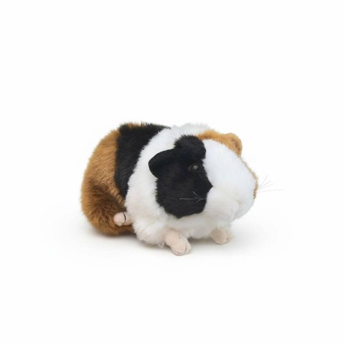 Cochon inde peluche - en,