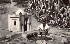 Algeria - HAMMAM RIGHA - Aïn Tolba - Ed. African Photo 9