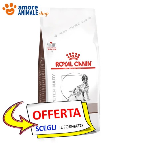 Royal canin chien - chien, →