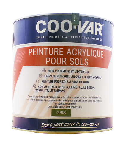 Coo var peinture acrylique - peinture,