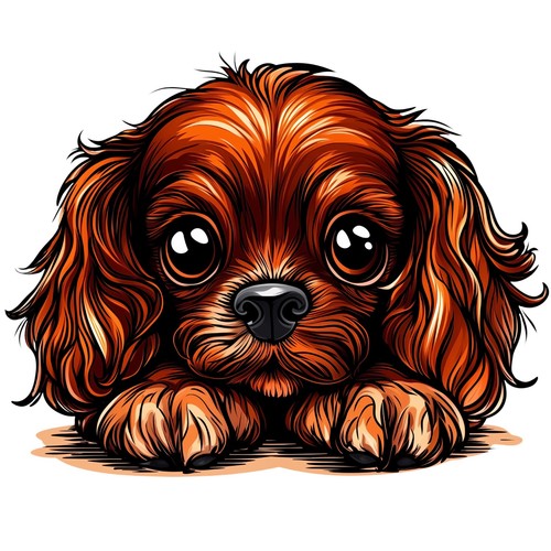 Autocollants cavalier king - 4,