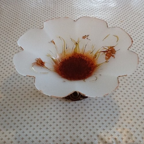 Coupe florale verre fumé - verre,