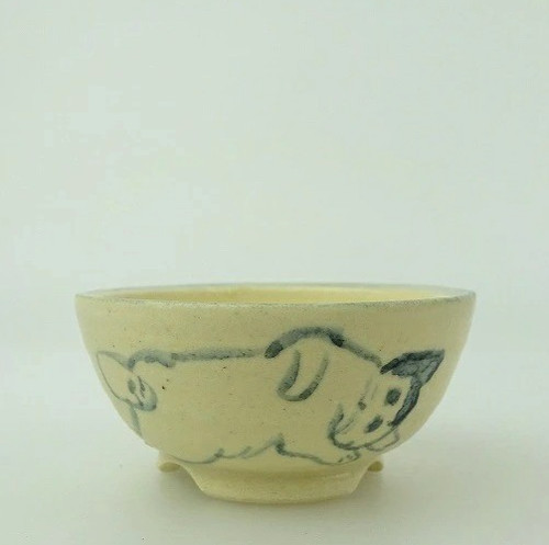 Pot bonsaï japonais yuki - bonsaï,