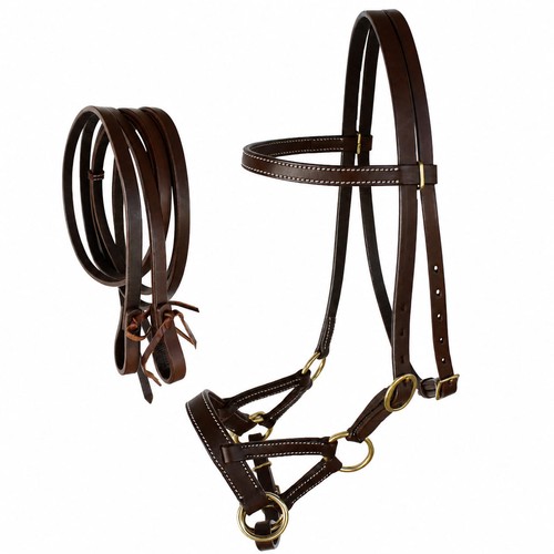 Challenger usa horse - horse, western