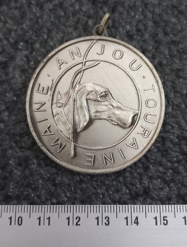 Médaille argentée maine - médaille,