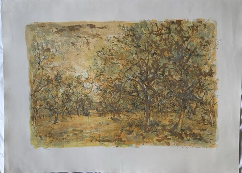 Clairière jean commère - la,
