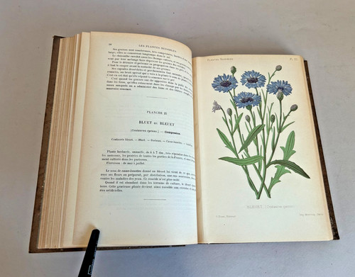 Les plantes nuisibles - , en