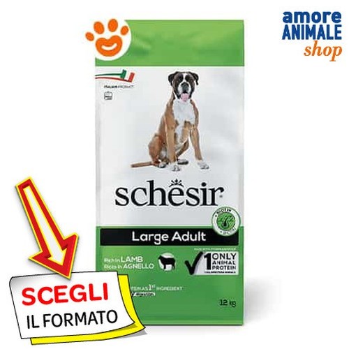 Schesir chien grand - chien, manteau