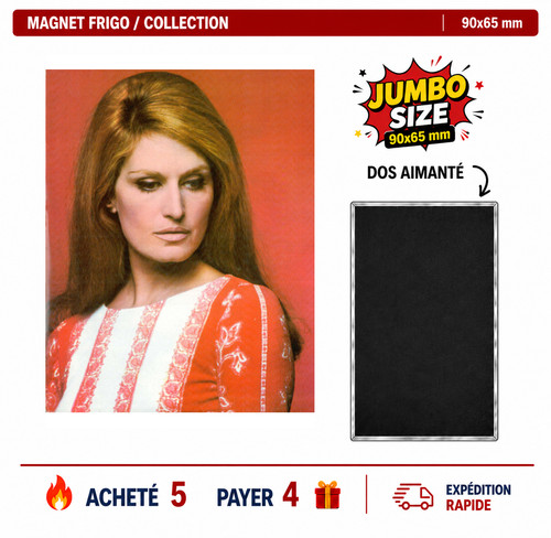 Magnet frigo dalida - frigo,