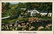 Scene near Dallas,PA Luzerne County Pennsylvania Postcard