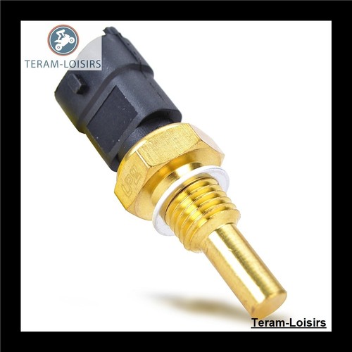 Sonde thermostat radiateur - sonde,