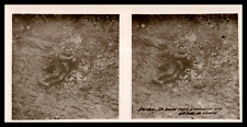 First World War, Battle of Verdun, dead German soldier, ca.1916, ste