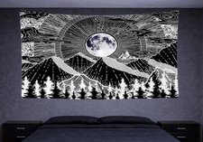 Lune Montagne Forêt