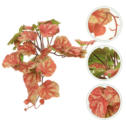 Accessoire terrarium - accessoire,