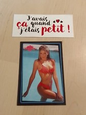 Alina Thompson Carte N° 171 Bench Warmer Trading Card 1994 Sexy Adult