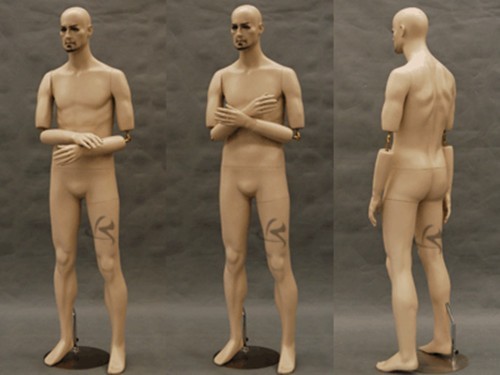 Male mannequin manequin - male,