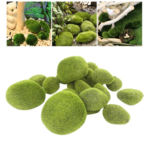 Pièces bryophytes mousse - 8,