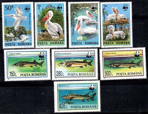 Wwf 1984 neuf 100 - neuf, **