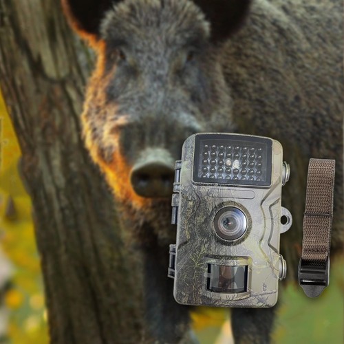 Caméra surveillance - caméra, de