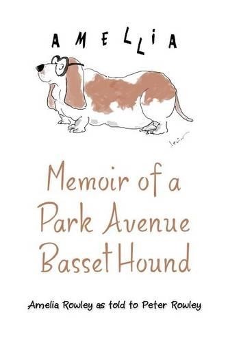 Peter rowley memoir park - memoir, a
