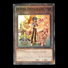 carte YU-GI-OH SDCB-FR047