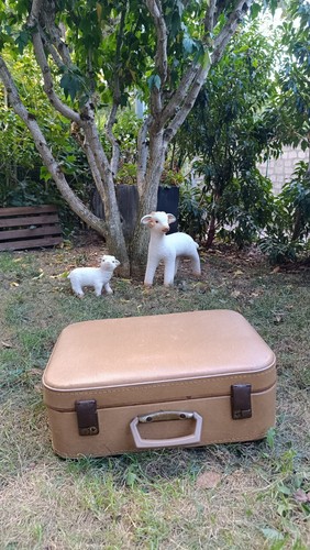 Valise vintage rigide beige