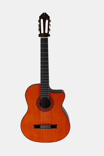 Elec issue washburn c5ce - *elec,